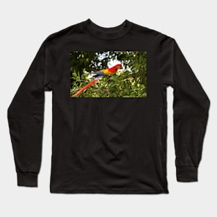 Scarlet Macaw Long Sleeve T-Shirt